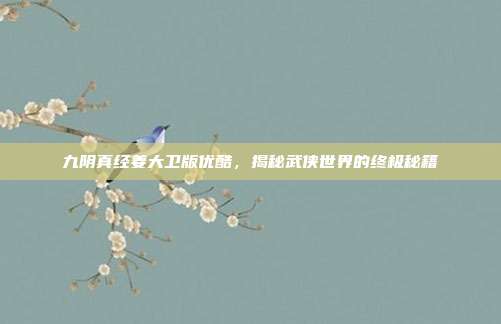 九阴真经姜大卫版优酷，揭秘武侠世界的终极秘籍