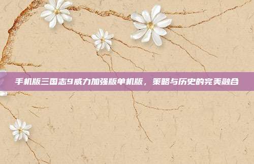 手机版三国志9威力加强版单机版,策略与历史的完美融合