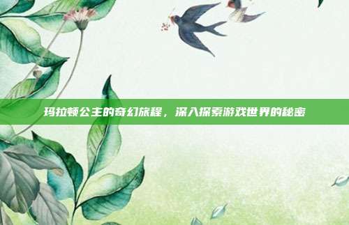 玛拉顿公主的奇幻旅程,深入探索游戏世界的秘密