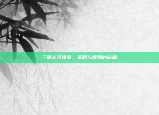 三国志名将令,策略与智慧的较量