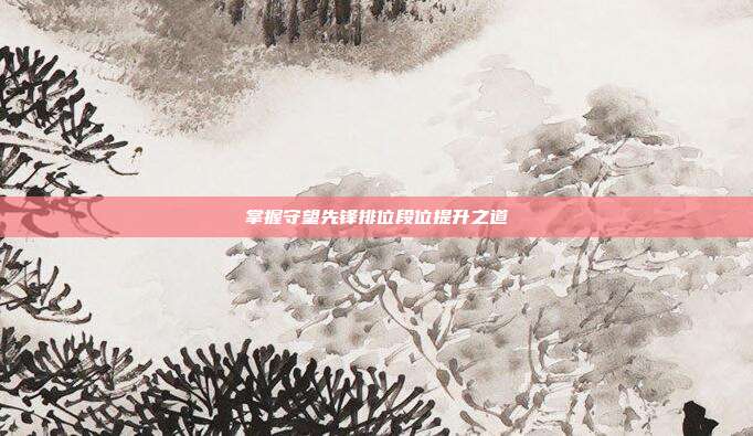 掌握守望先锋排位段位提升之道