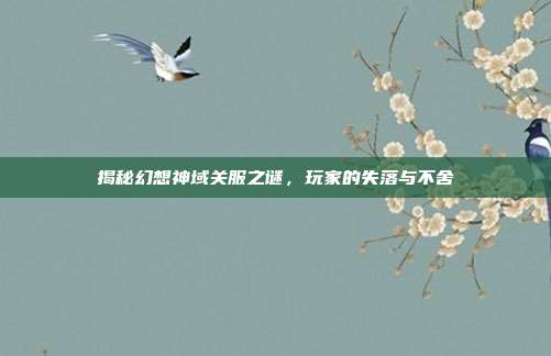 揭秘幻想神域关服之谜,玩家的失落与不舍