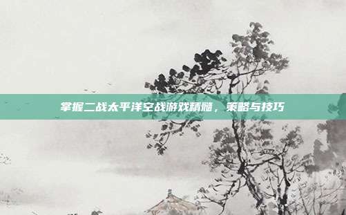 掌握二战太平洋空战游戏精髓,策略与技巧