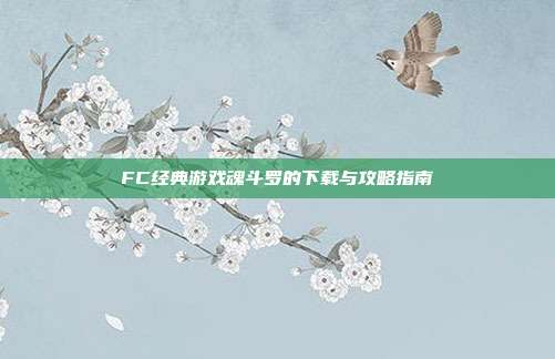 FC经典游戏魂斗罗的下载与攻略指南