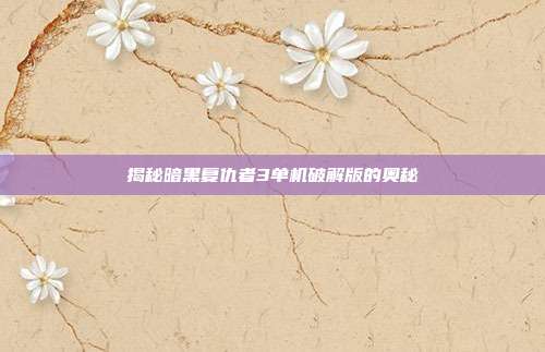 揭秘暗黑复仇者3单机破解版的奥秘