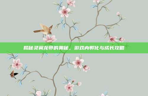 揭秘灵翼龙卵的奥秘，游戏内孵化与成长攻略