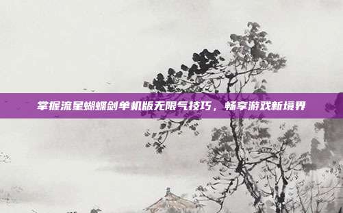 掌握流星蝴蝶剑单机版无限气技巧，畅享游戏新境界