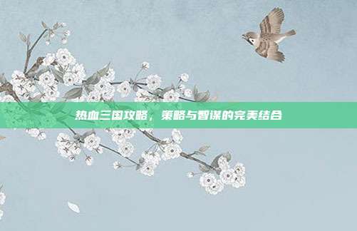 热血三国攻略,策略与智谋的完美结合