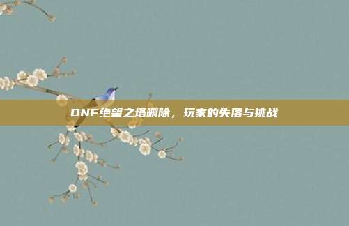 DNF绝望之塔删除,玩家的失落与挑战