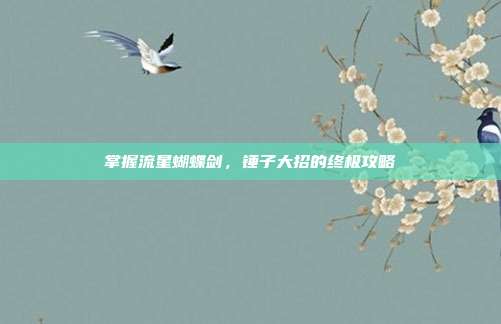 掌握流星蝴蝶剑,锤子大招的终极攻略