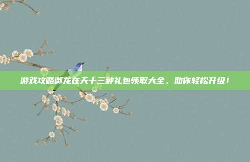 游戏攻略御龙在天十三种礼包领取大全,助你轻松升级!