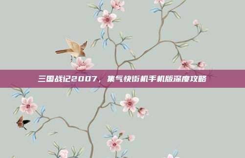 三国战记2007,集气快街机手机版深度攻略