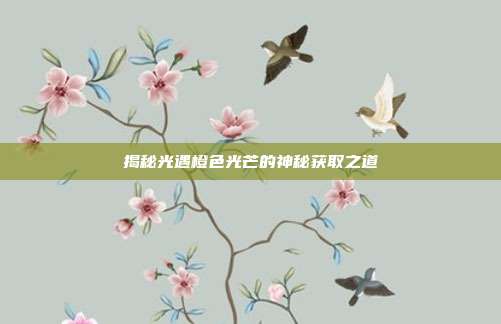 揭秘光遇橙色光芒的神秘获取之道