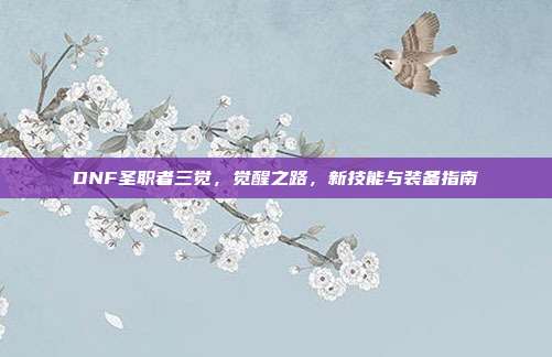 DNF圣职者三觉，觉醒之路，新技能与装备指南