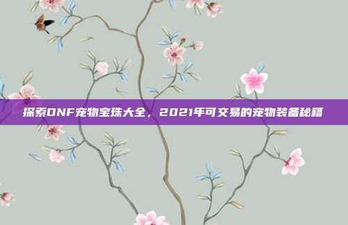 探索DNF宠物宝珠大全，2021年可交易的宠物装备秘籍