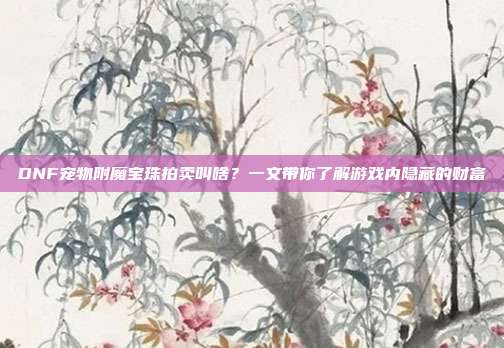 DNF宠物附魔宝珠拍卖叫啥?一文带你了解游戏内隐藏的财富