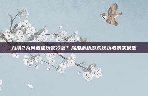 九阴2为何遭遇玩家冷落?深度解析游戏现状与未来展望