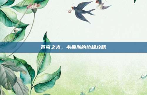 苍穹之光,韦鲁斯的终极攻略