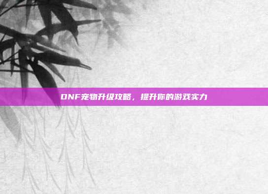DNF宠物升级攻略,提升你的游戏实力