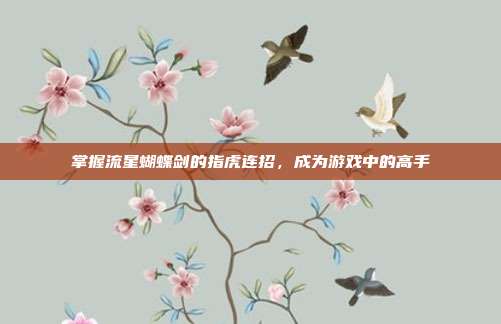 掌握流星蝴蝶剑的指虎连招,成为游戏中的高手