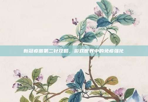 新冠疫苗第二针攻略,游戏世界中的免疫强化