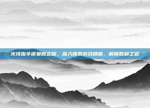 火线指令诺曼底正版,深入探索游戏精髓,解锁胜利之道