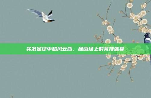 实况足球中超风云版,绿茵场上的竞技盛宴