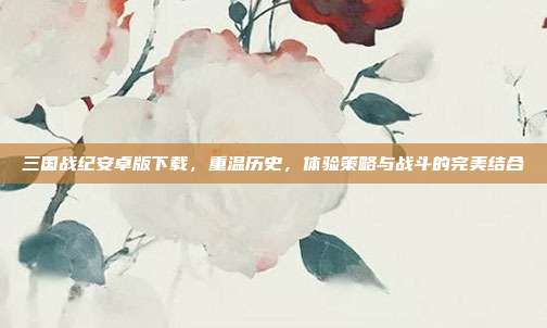 三国战纪安卓版下载，重温历史，体验策略与战斗的完美结合