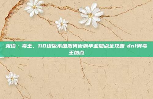 极诣·毒王，110级版本国服男街霸毕业加点全攻略-dnf男毒王加点