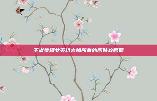 王者荣耀女英雄去掉所有的服装攻略网