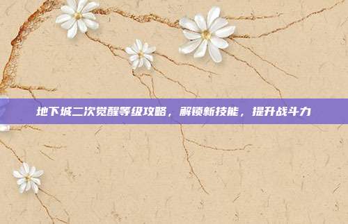 地下城二次觉醒等级攻略,解锁新技能,提升战斗力