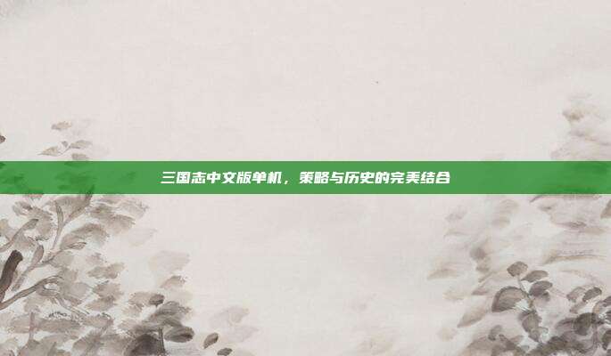 三国志中文版单机,策略与历史的完美结合