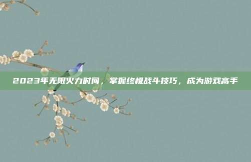 2023年无限火力时间，掌握终极战斗技巧，成为游戏高手