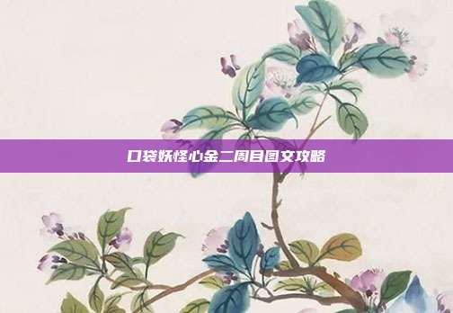 口袋妖怪心金二周目图文攻略