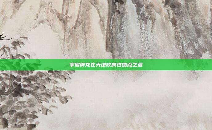 掌握御龙在天法杖属性加点之道