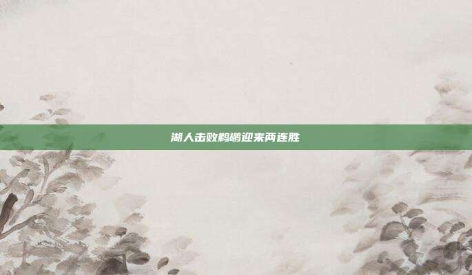 湖人击败鹈鹕迎来两连胜