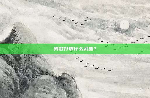 男散打带什么武器?