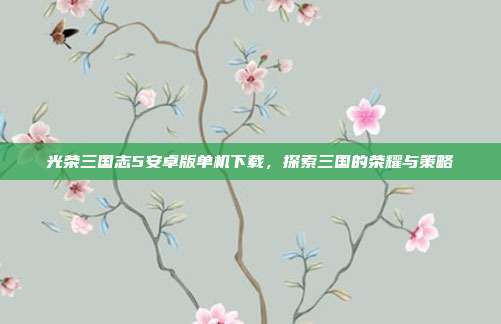 光荣三国志5安卓版单机下载,探索三国的荣耀与策略