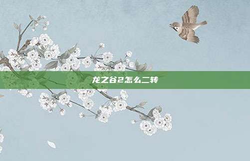 龙之谷2怎么二转