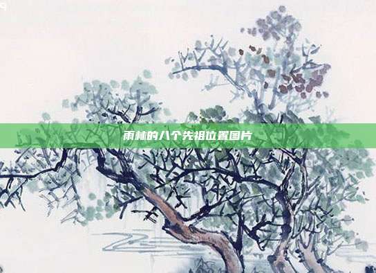 雨林的八个先祖位置图片