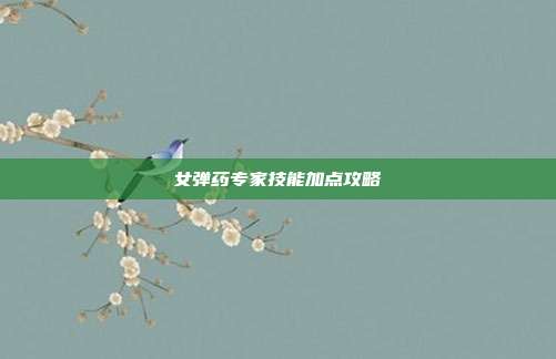 女弹药专家技能加点攻略
