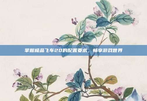 掌握极品飞车20的配置要求,畅享游戏世界
