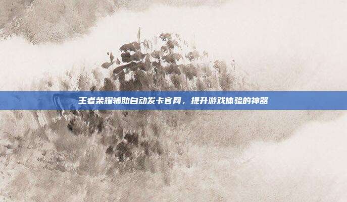 王者荣耀辅助自动发卡官网,提升游戏体验的神器