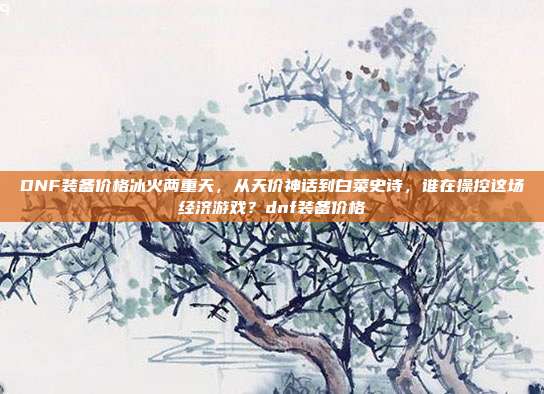 DNF装备价格冰火两重天，从天价神话到白菜史诗，谁在操控这场经济游戏？dnf装备价格
