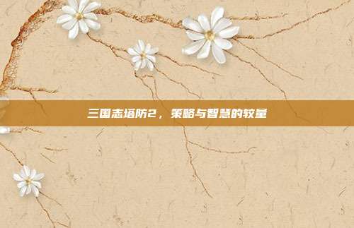 三国志塔防2,策略与智慧的较量