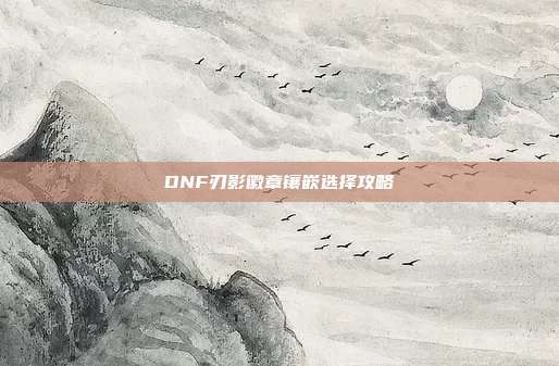 DNF刃影徽章镶嵌选择攻略