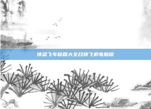 侠盗飞车秘籍大全召唤飞机电脑版