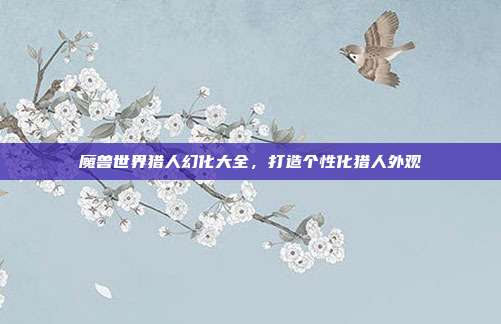 魔兽世界猎人幻化大全,打造个性化猎人外观