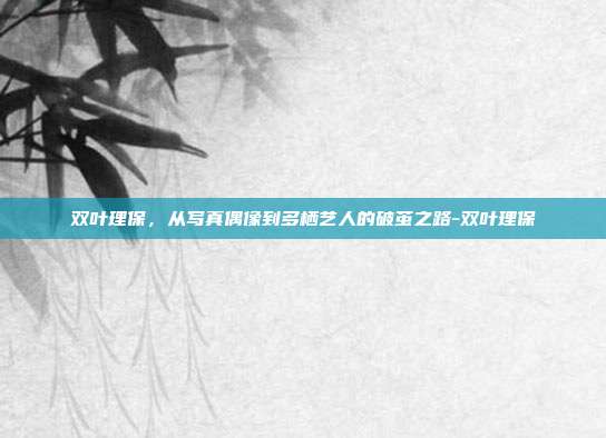 双叶理保，从写真偶像到多栖艺人的破茧之路-双叶理保