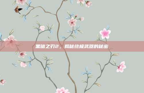 黑暗之刃2,揭秘终极武器的秘密